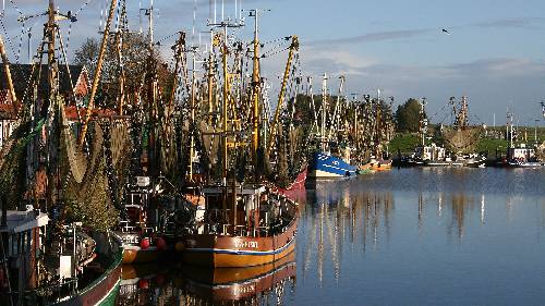 Hafen mit Krabbenkuttern