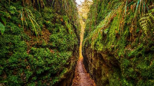 Drachenschlucht