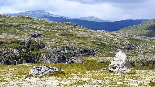 Hardangervidda